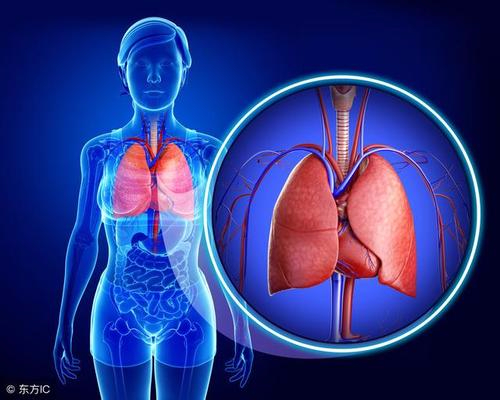 冬季避免呼吸系统疾病，五招教您养好肺